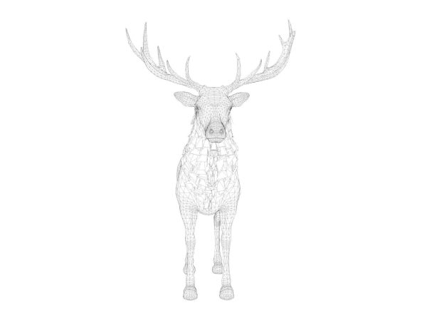 Deer stag