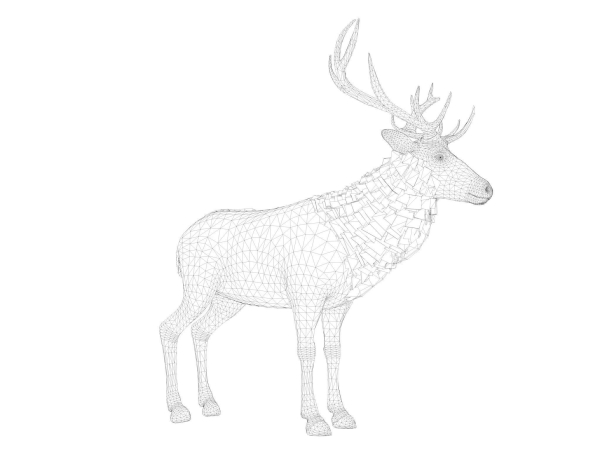 Deer stag
