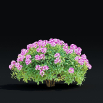 Rhododendron hybrida bush