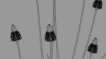 Ribwort plantain flower