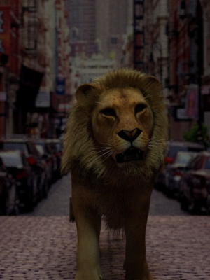 rigged-lion-3d-model-animated-rigged-fbx-c4d