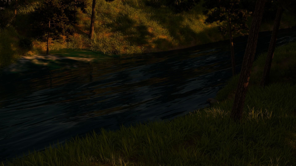 River in the forest