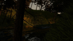 River in the forest
