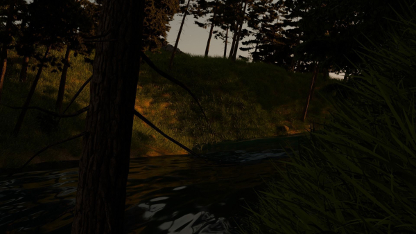 River in the forest