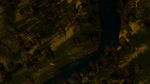 River in the forest