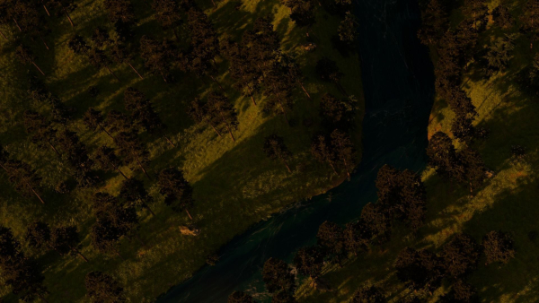 River in the forest