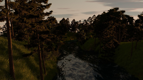 River in the forest