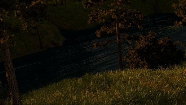 River in the forest