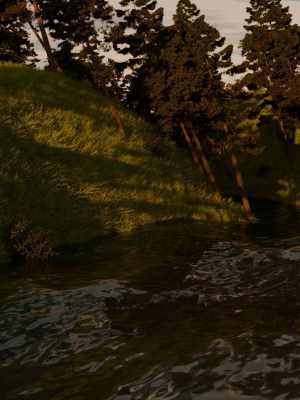 River in the forest