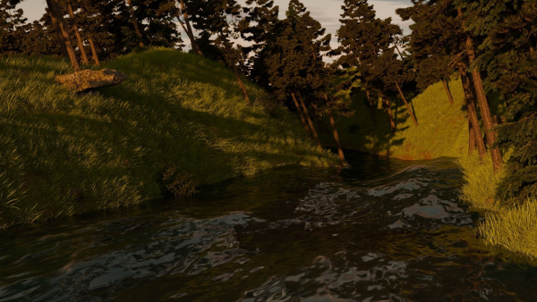 River in the forest