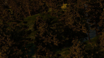 River in the forest
