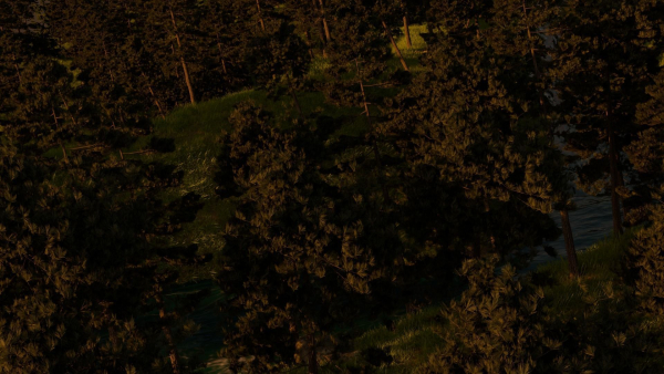 River in the forest