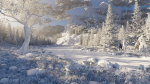 River Mountains Scene