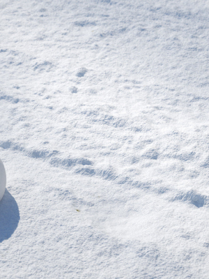 road-in-snow-seamless-texture-3d-model-max-obj-fbx