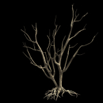 Roadside-Dead Tree 09