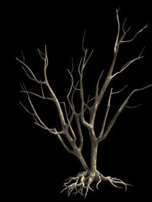roadside-dead-tree-09-3d-model-max