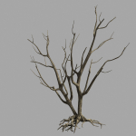 Roadside-Dead Tree 09