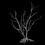Roadside-Dead Tree 09