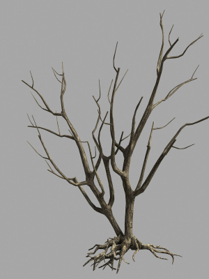 Roadside-Dead Tree 09