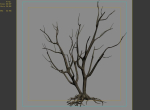 Roadside-Dead Tree 09