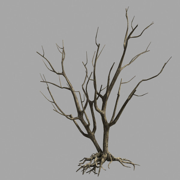 Roadside-Dead Tree 09