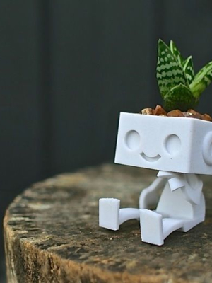Robbie the Robot Planter