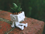 Robbie the Robot Planter