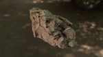 Rock low poly 3D model in forest