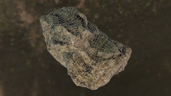 Rock low poly 3D model in forest