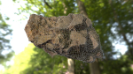 Rock low poly 3D model in forest