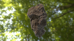 Rock low poly 3D model in forest