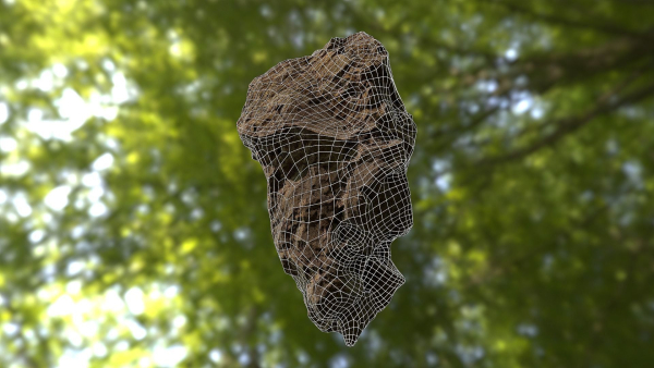 Rock low poly 3D model in forest