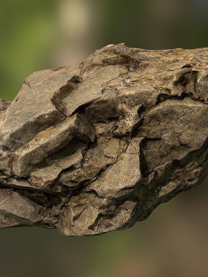 Rock low poly 3D model in forest