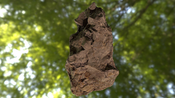 Rock low poly 3D model in forest