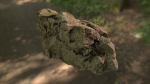 Rock low poly 3D model in forest