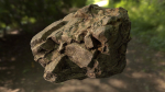 Rock low poly 3D model in forest