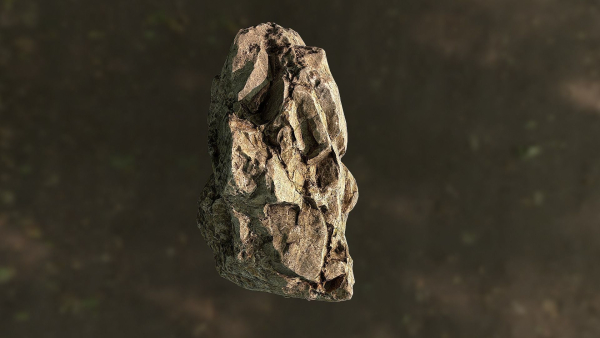 Rock low poly 3D model in forest