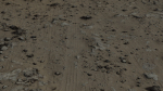 rocksand15