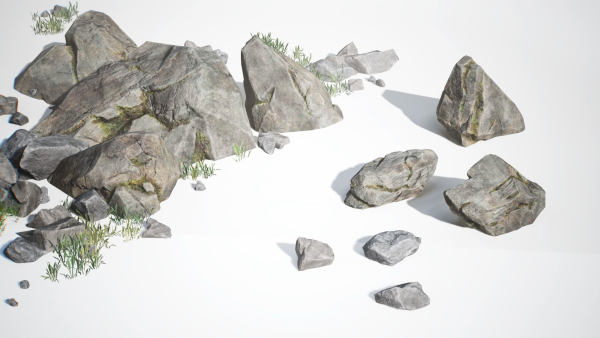 Rocky Pine Trees Forest Biome