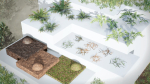 Rocky Pine Trees Forest Biome