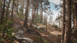 Rocky Pine Trees Forest Biome