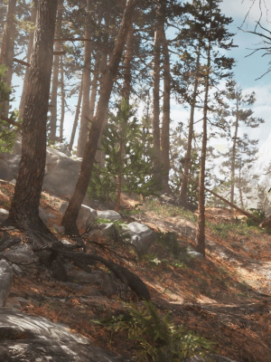 rocky-pine-trees-forest-biome-3d-model-b12e1fd771