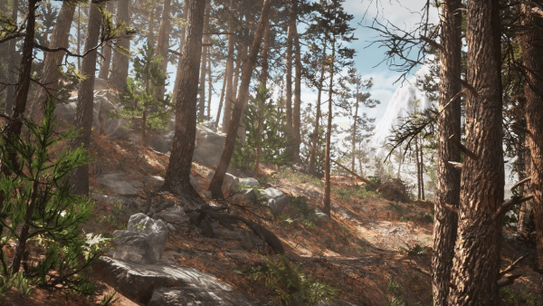 Rocky Pine Trees Forest Biome