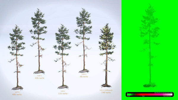 Rocky Pine Trees Forest Biome