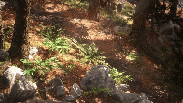Rocky Pine Trees Forest Biome