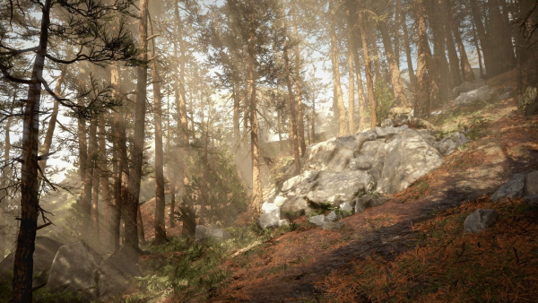 Rocky Pine Trees Forest Biome
