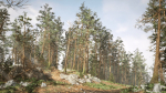 Rocky Pine Trees Forest Biome