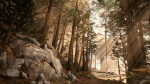 Rocky Pine Trees Forest Biome