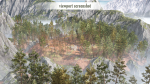 Rocky Pine Trees Forest Biome