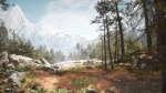 Rocky Pine Trees Forest Biome